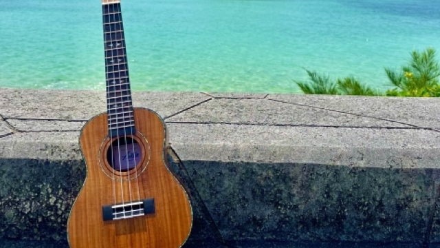 Teens ukulele