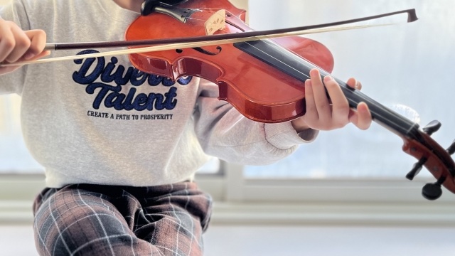 violin